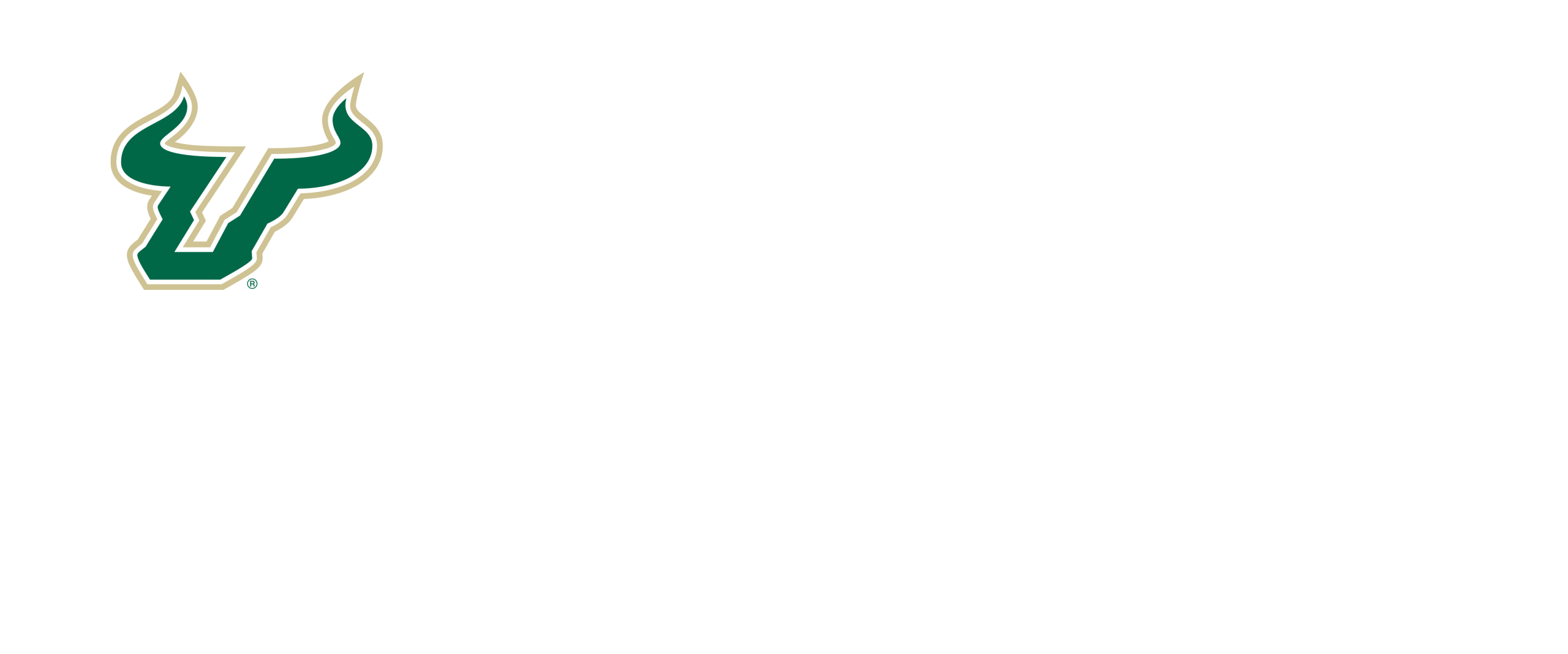 University of South Florida